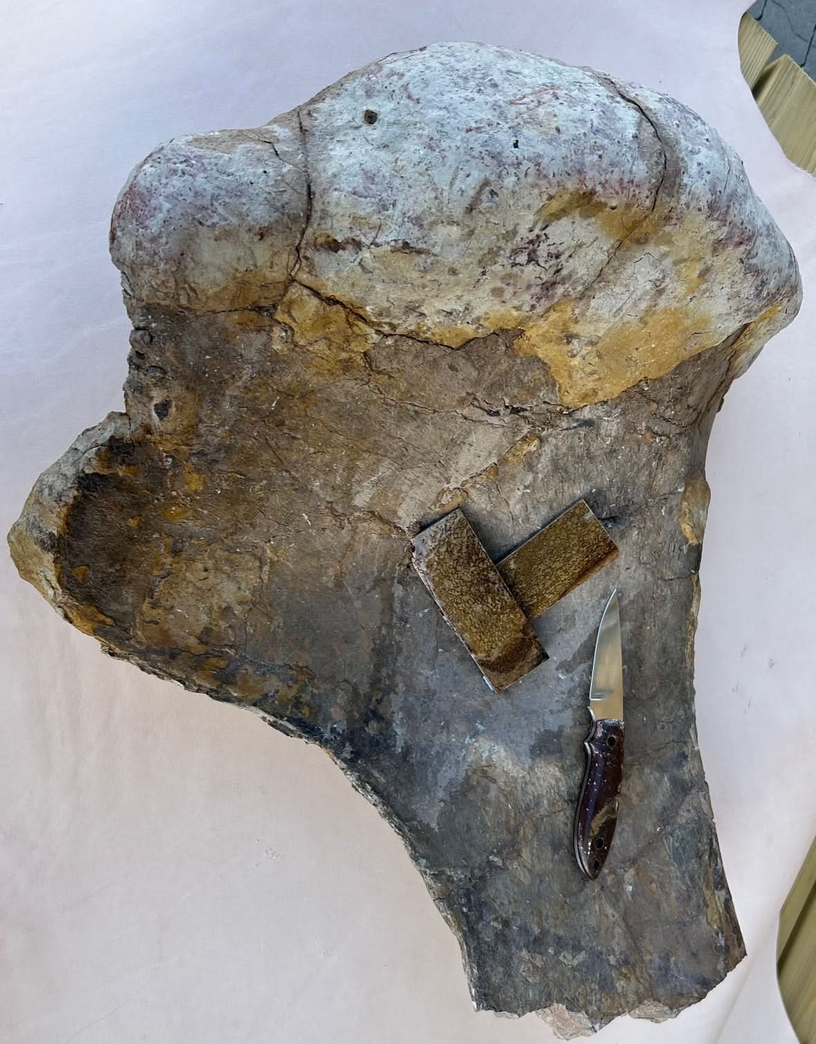 Dinosauruksen fossiilin palanen 20x35x20mm