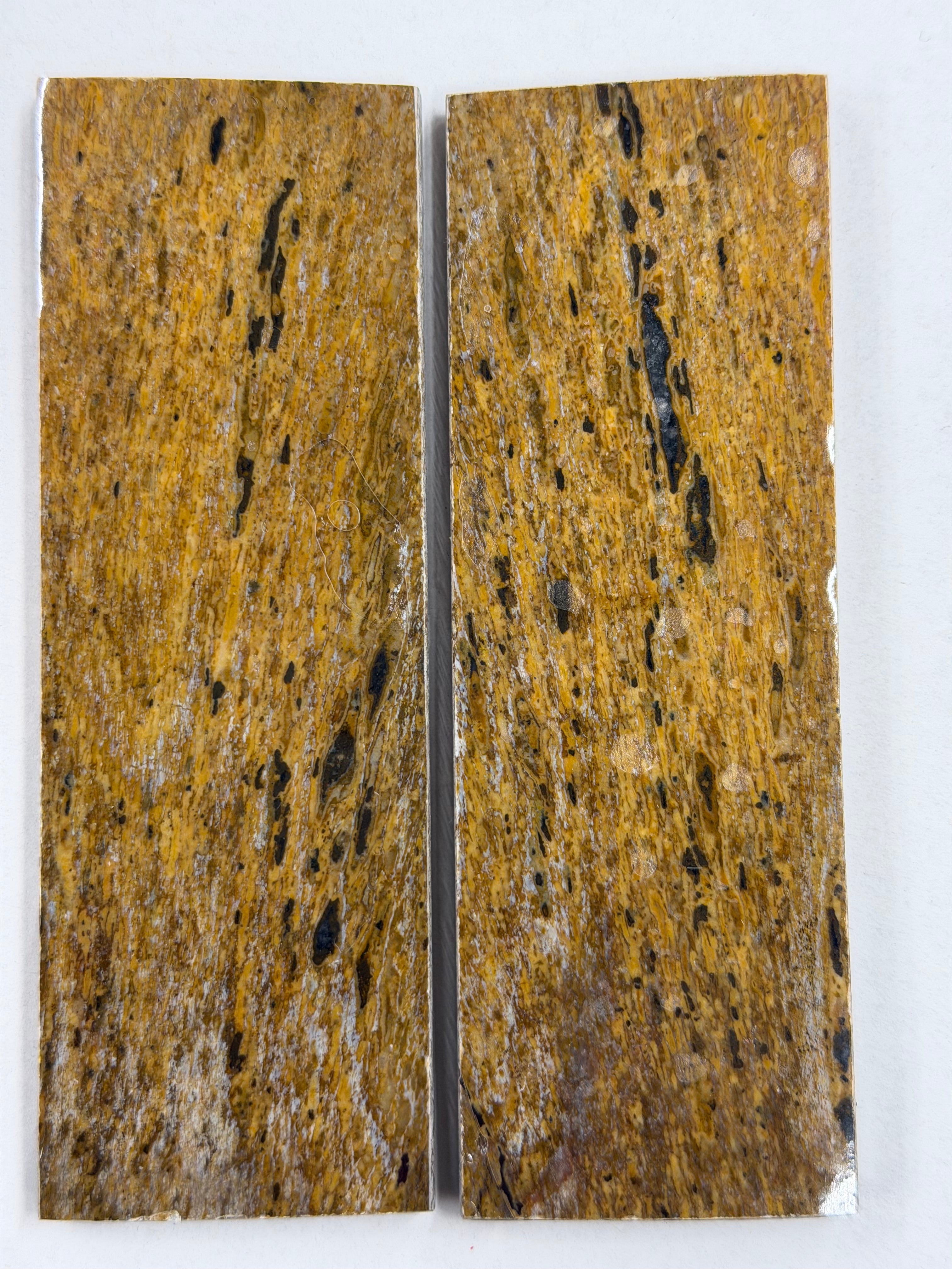 Dinosaurusfossiili varsilevysarja DFS-2