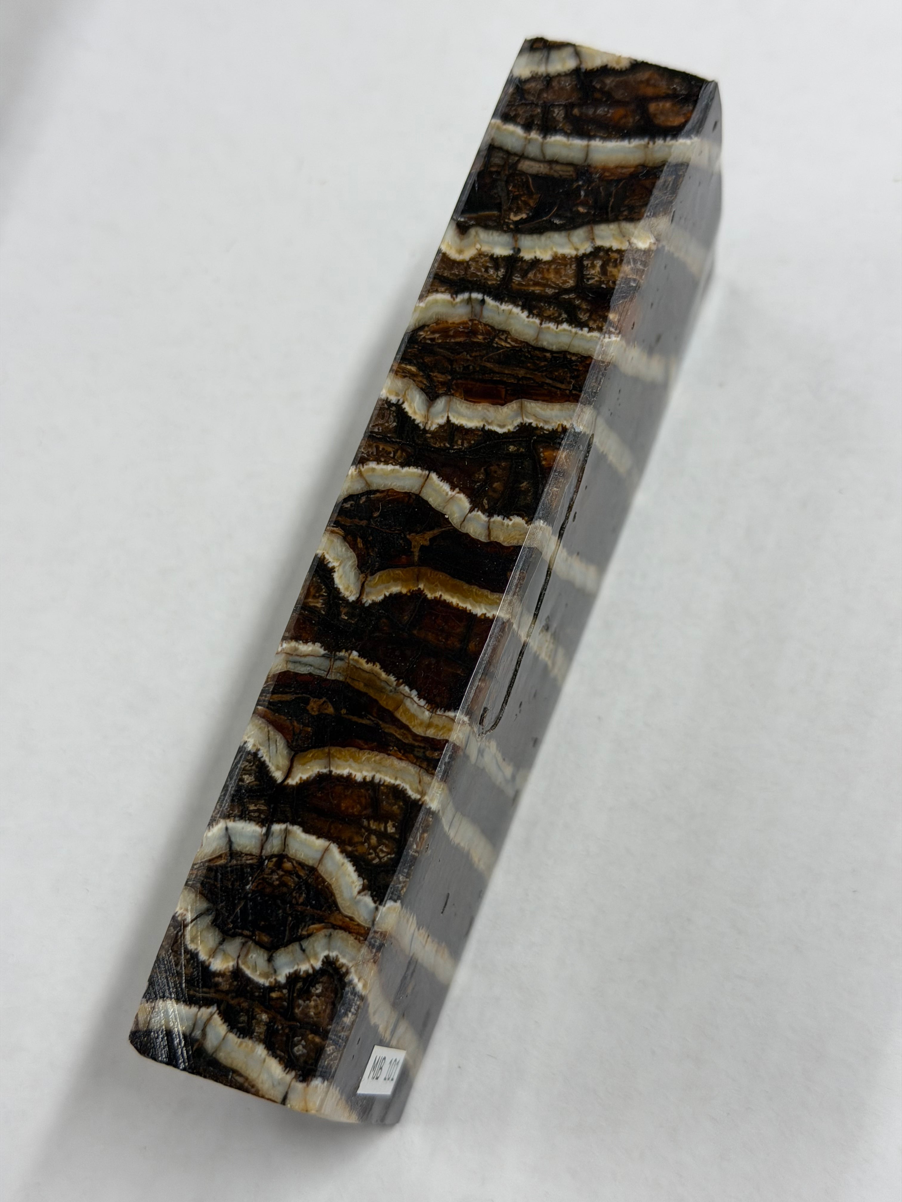 Mammutin poskihammas kahva-aihio MJB 101