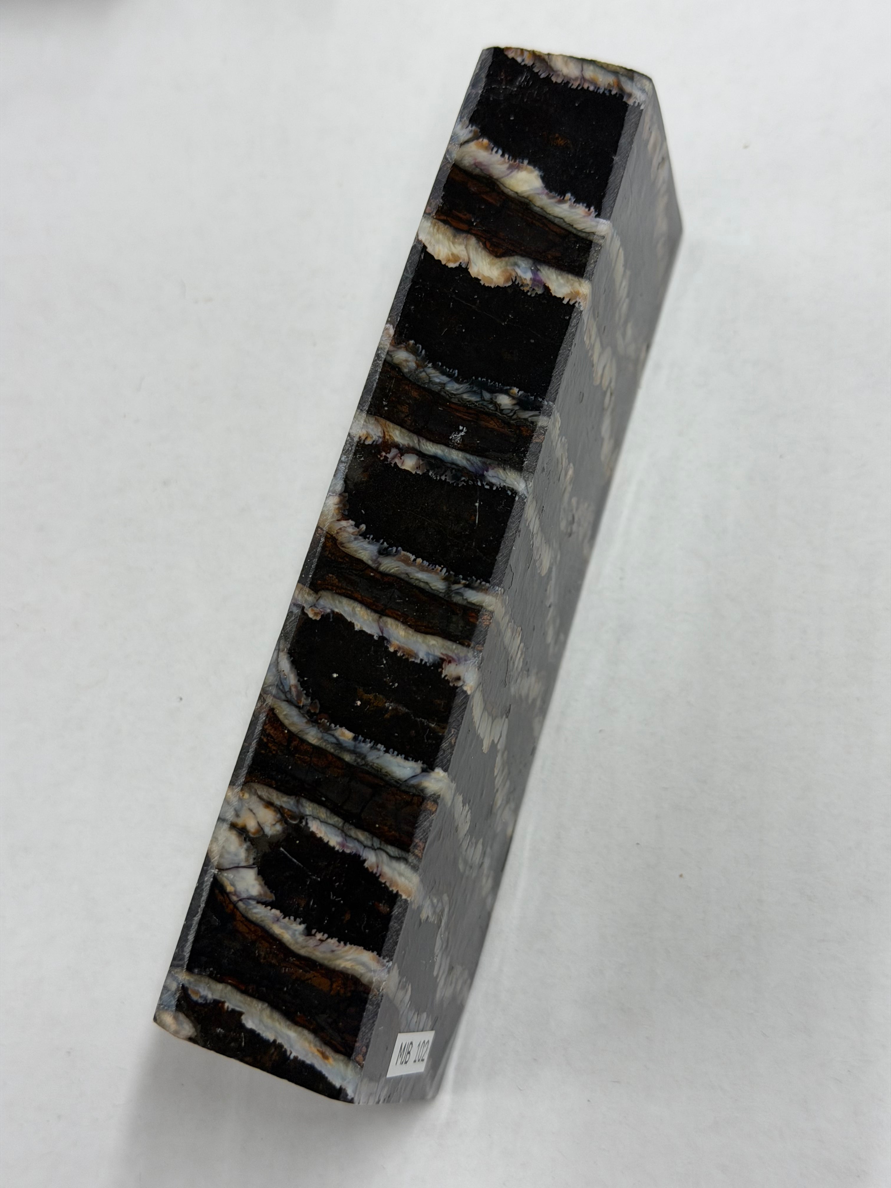 Mammutin poskihammas kahva-aihio MJB 102
