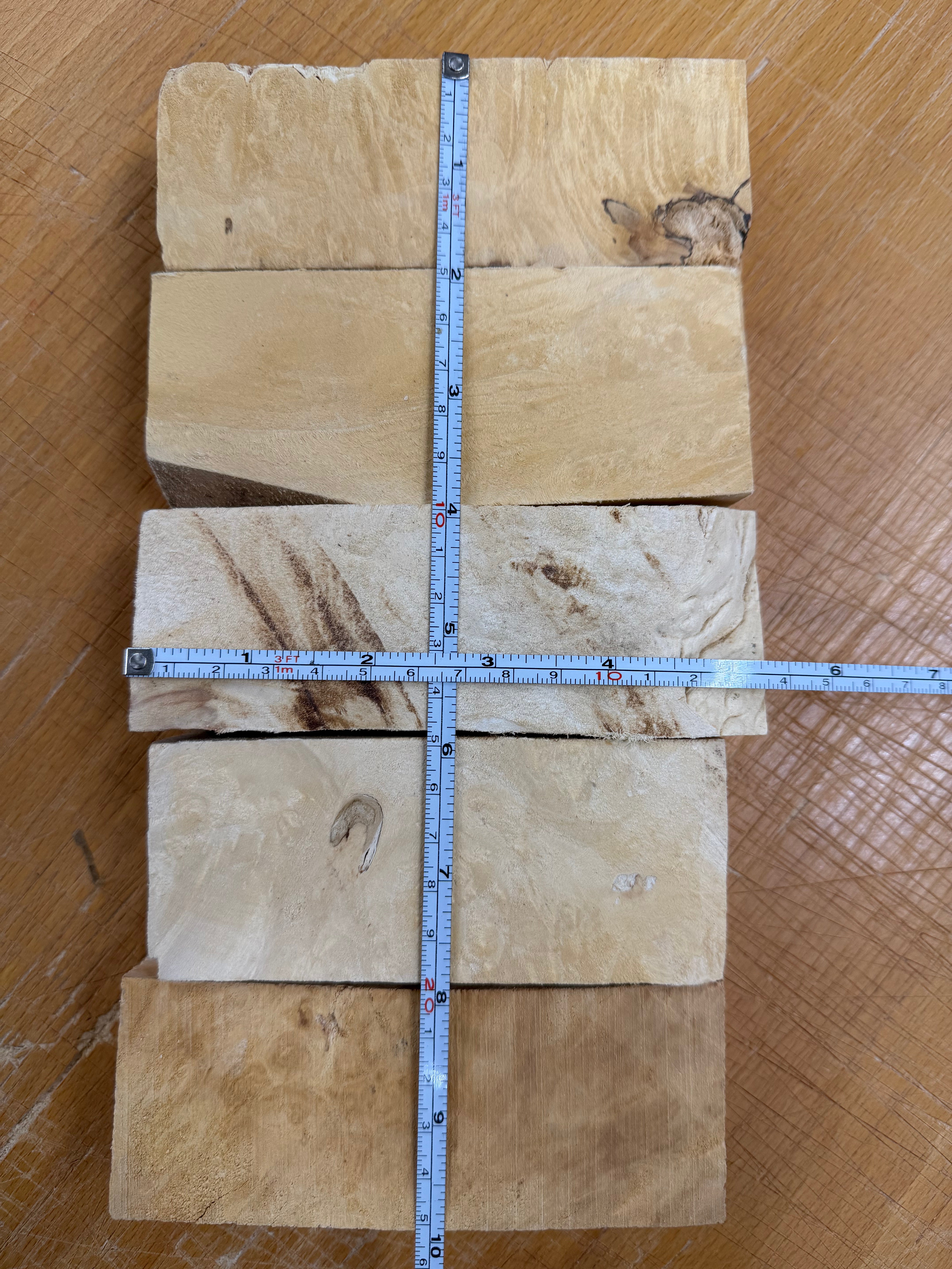 Box Elder kahva-aihiot 5 kpl - BEP5-105