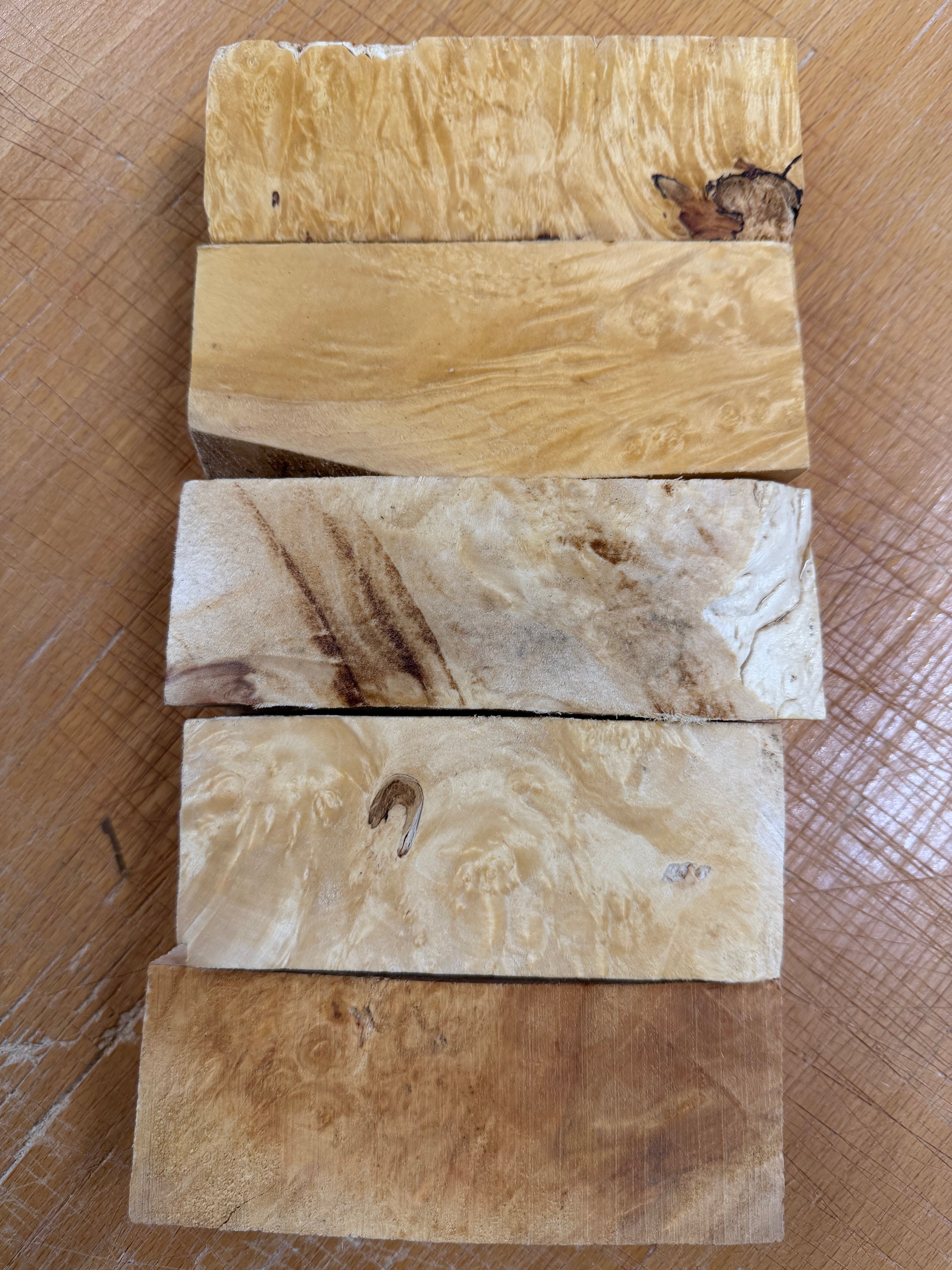 Box Elder kahva-aihiot 5 kpl - BEP5-105