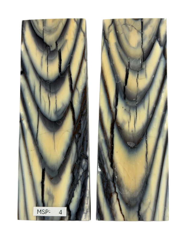Mammutin syöksyhampaan kahvalevyt MSP-04