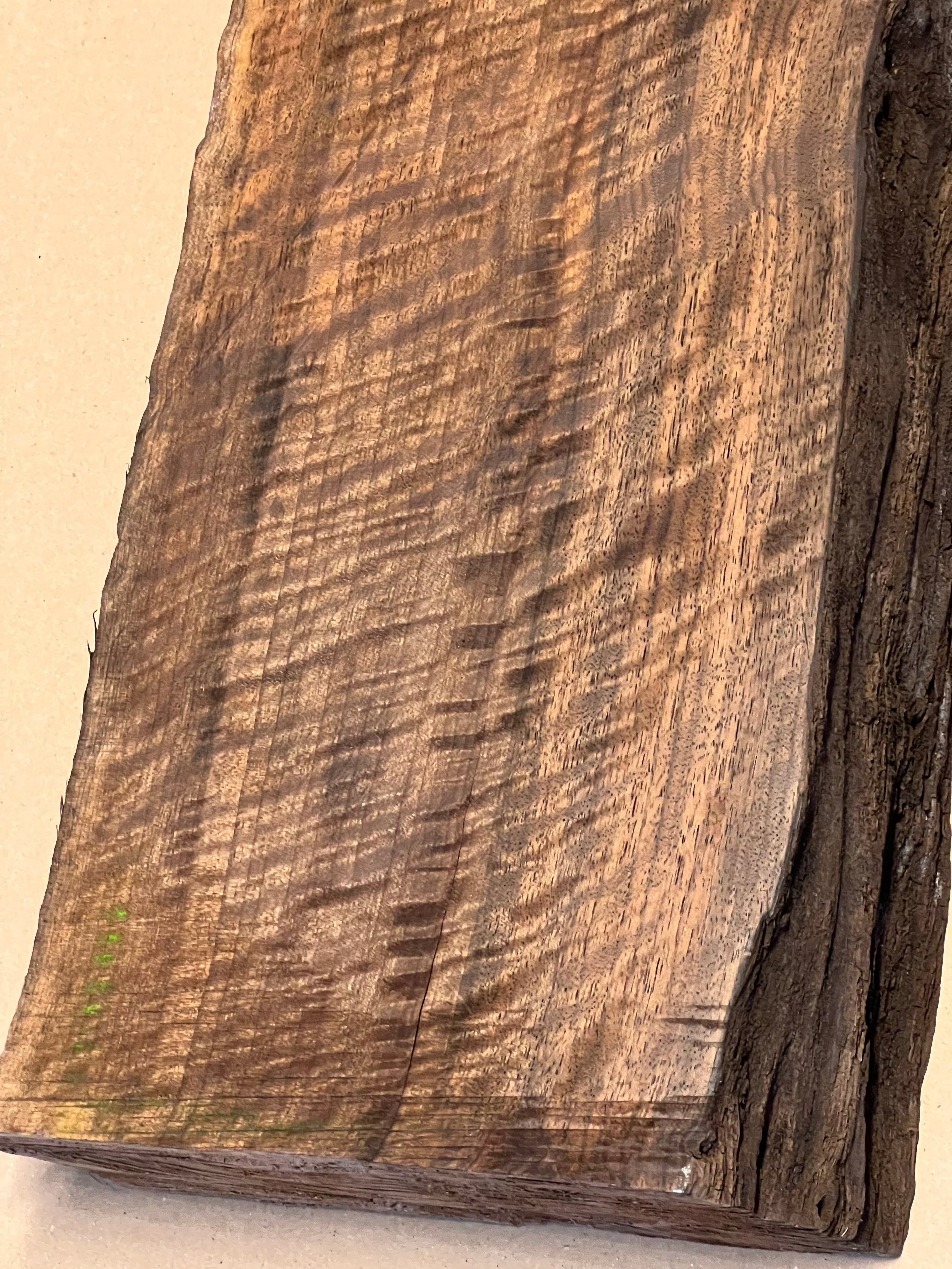 Premium-saksanpähkinäpuu, suuri aihio VC02