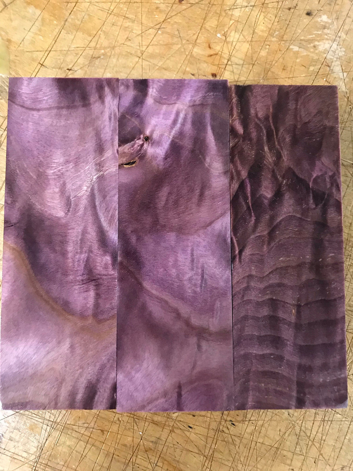 Loimukuvioinen poppeli – Violetti