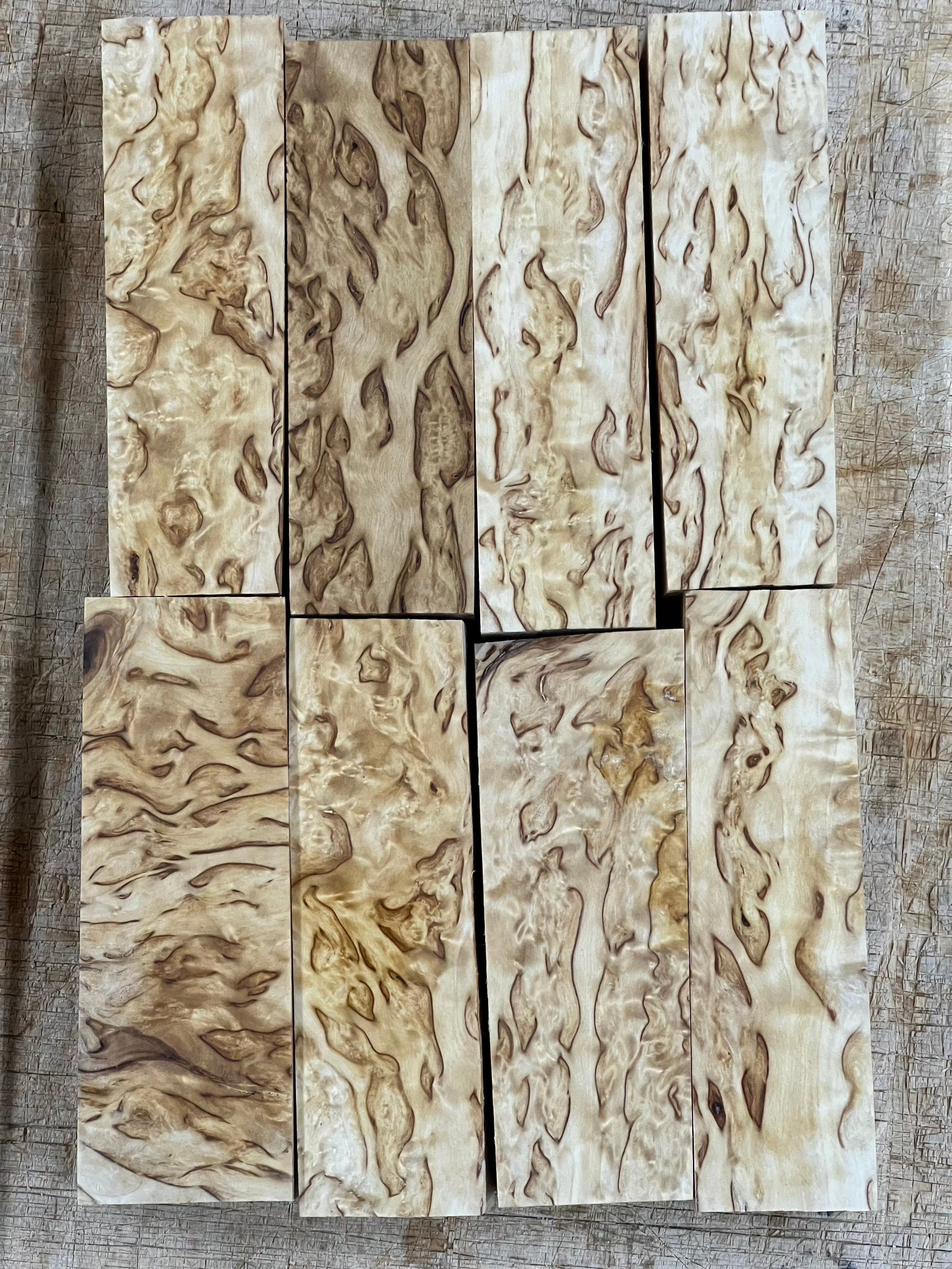 Luonnonvärinen visakoivu n. 30x40x120