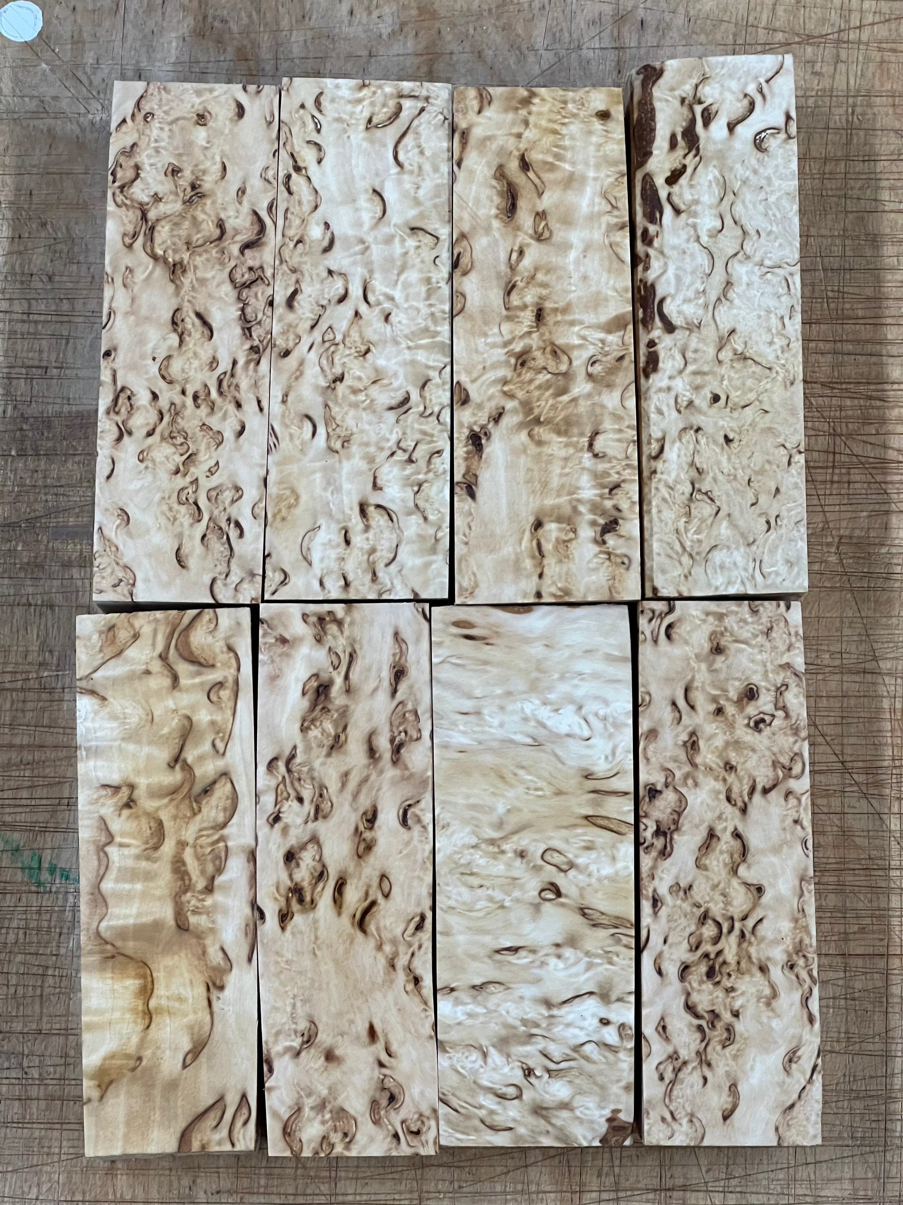 Luonnonvärinen visakoivu n. 30x40x120