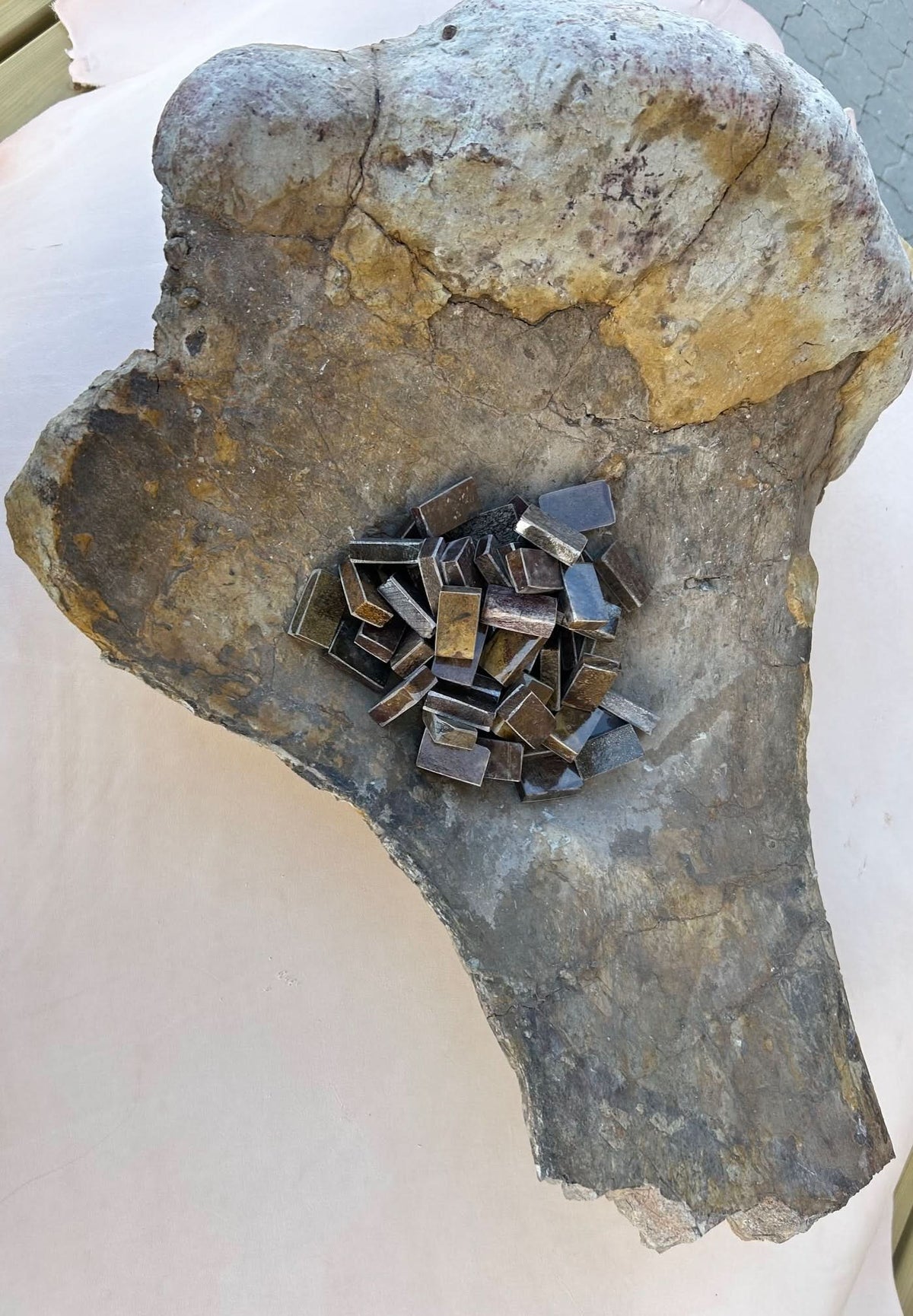 Dinosauruksen fossiilin palanen 20x35x20mm