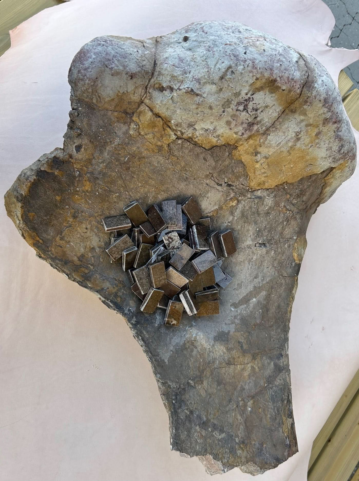 Dinosauruksen fossiilin palanen 20x35x20mm