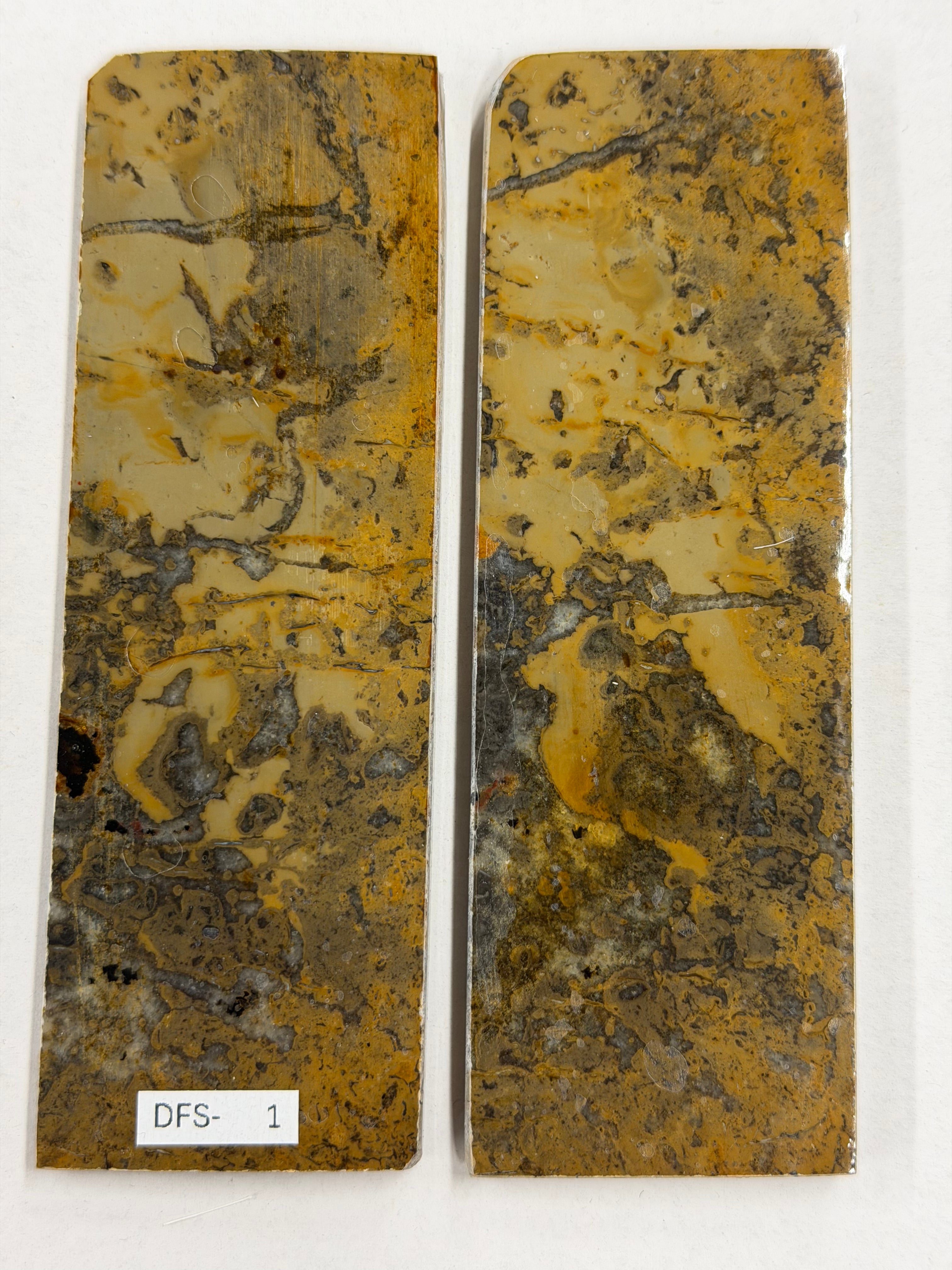 Dinosauruksen fossiilisarja DFS-1