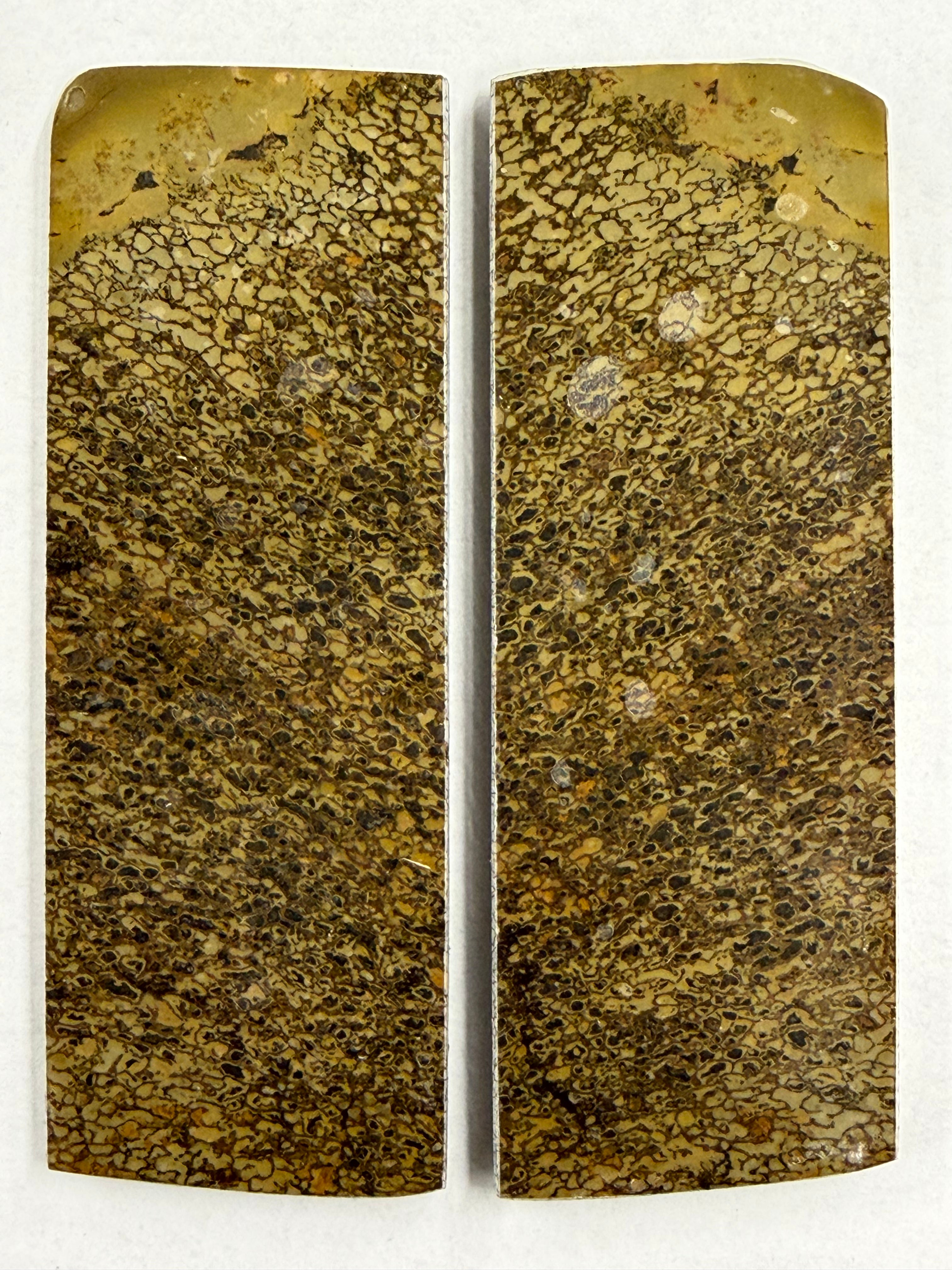 Dinosaurusfossiili varsilevysarja DFS-3