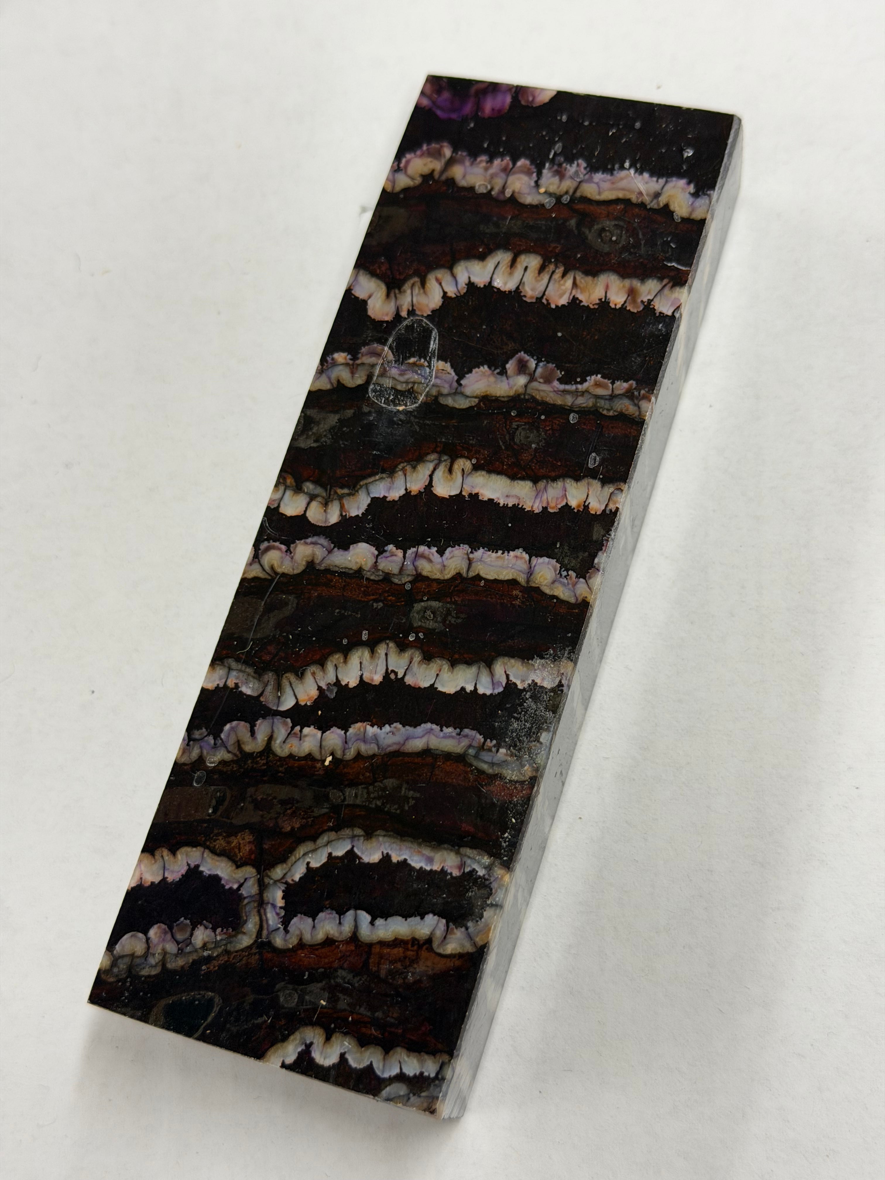 Mammutin poskihammas kahva-aihio MJB 102