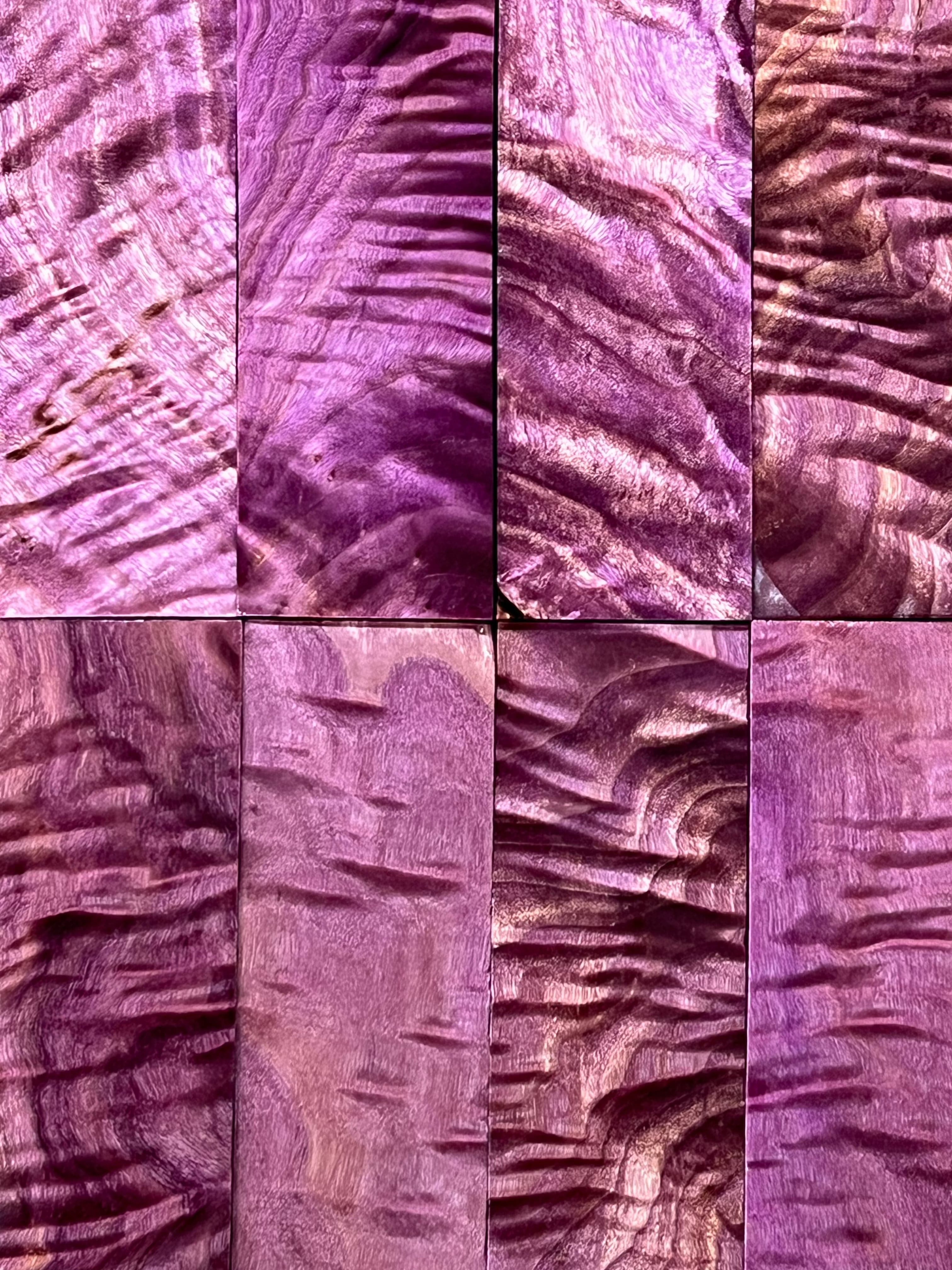 Loimukuvioinen poppeli – Violetti