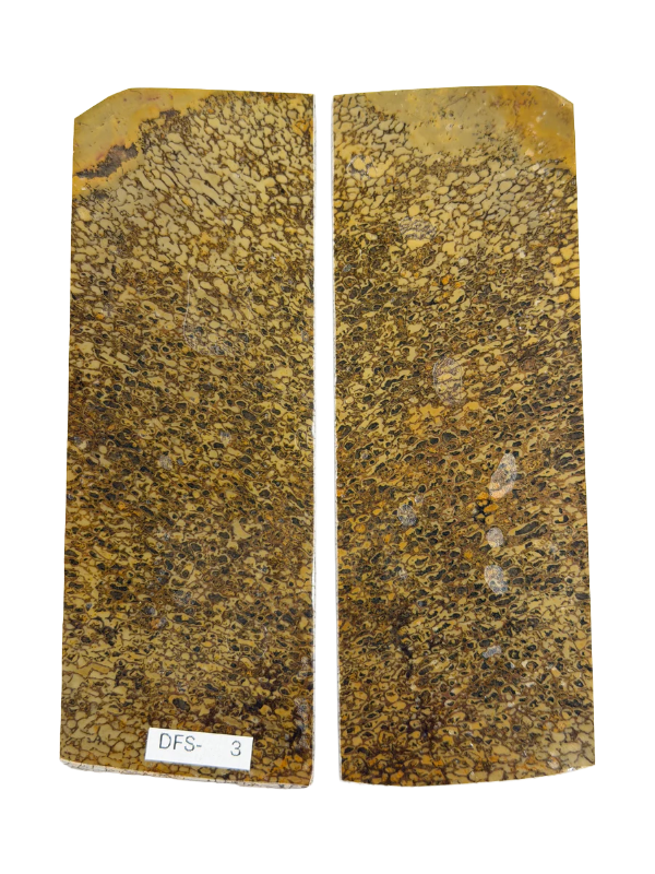 Dinosaurusfossiili varsilevysarja DFS-3