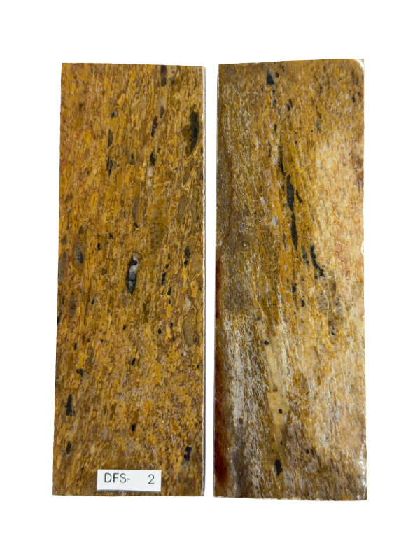 Dinosaurusfossiili varsilevysarja DFS-2