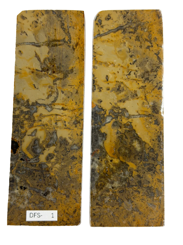 Dinosauruksen fossiilisarja DFS-1