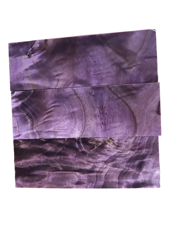 Loimukuvioinen poppeli – Violetti