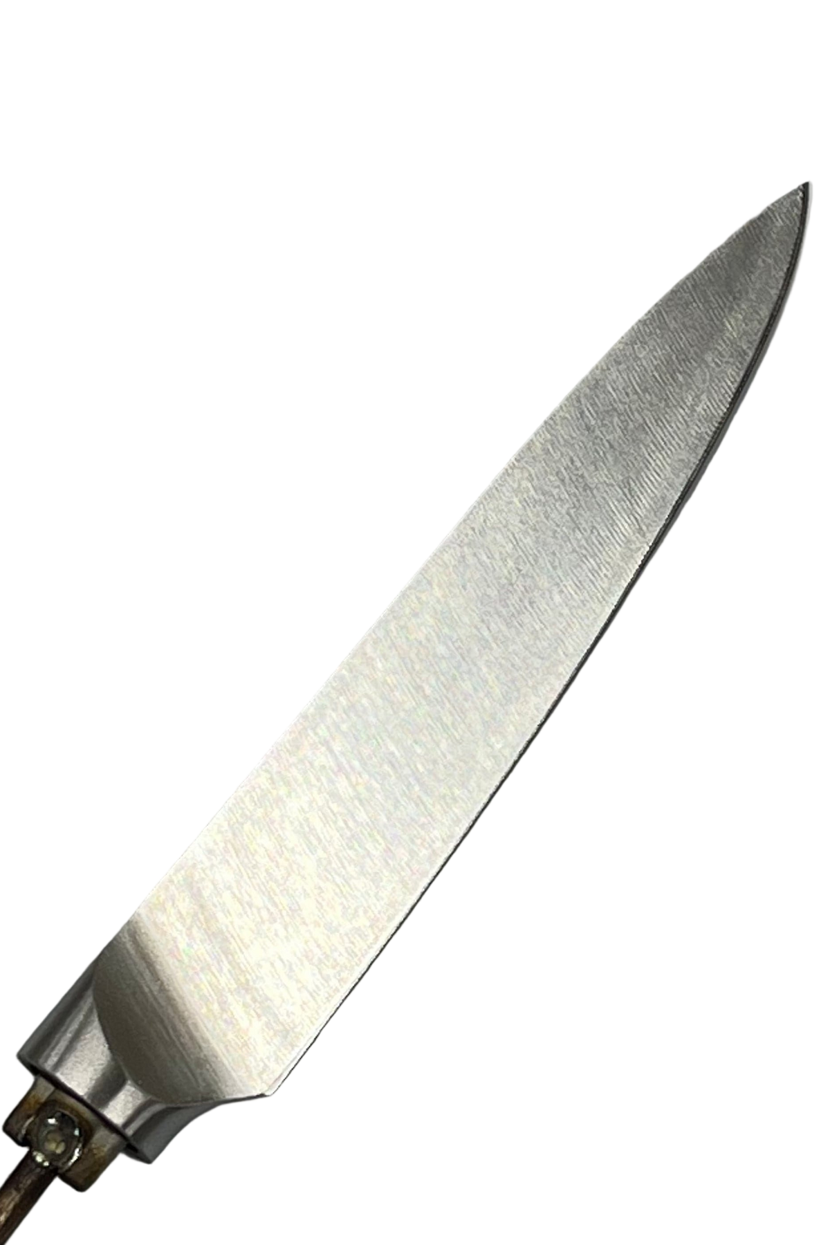 Hedelmäveitsi T - Ruostumaton kokkiveitsi 5"