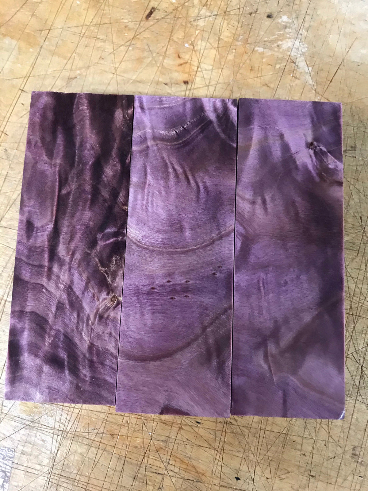 Loimukuvioinen poppeli – Violetti