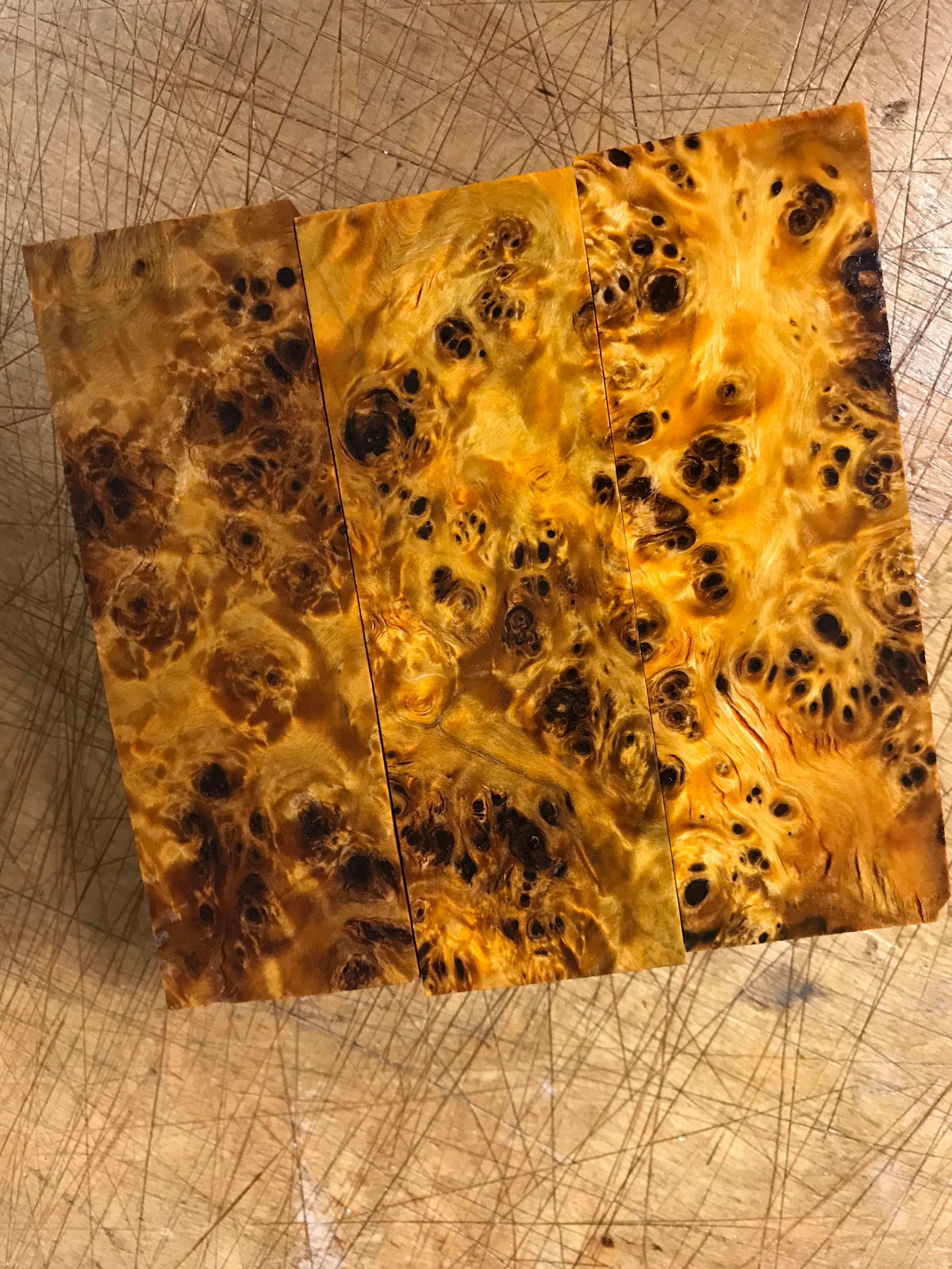 Poppelin pahka – Oranssi
